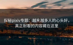 探秘pixiv专题：越来越多人的心头好，真正耐看的内容藏在这里