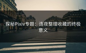 探秘Pixiv专题：连夜整理收藏的终极意义