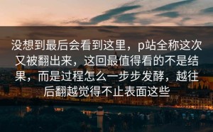 没想到最后会看到这里，p站全称这次又被翻出来，这回最值得看的不是结果，而是过程怎么一步步发酵，越往后翻越觉得不止表面这些
