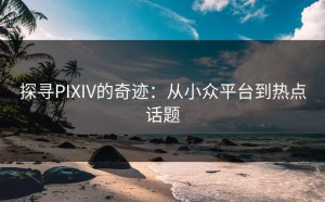 探寻PIXIV的奇迹：从小众平台到热点话题