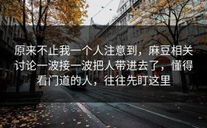 原来不止我一个人注意到，麻豆相关讨论一波接一波把人带进去了，懂得看门道的人，往往先盯这里