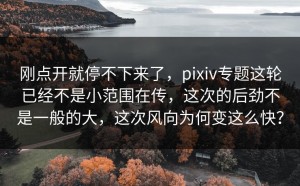 刚点开就停不下来了，pixiv专题这轮已经不是小范围在传，这次的后劲不是一般的大，这次风向为何变这么快？