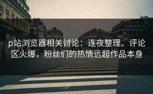 p站浏览器相关讨论：连夜整理、评论区火爆，粉丝们的热情远超作品本身