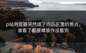 p站浏览器突然成了作品区里的焦点，谁看了都很难装作没看到