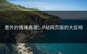 意外的情绪高潮：P站网页版的大反响