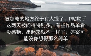 被忽略的地方终于有人提了，P站助手这两天被问得特别多，有些作品单看没感艳，串起来就不一样了，答案可能没你想得那么简单