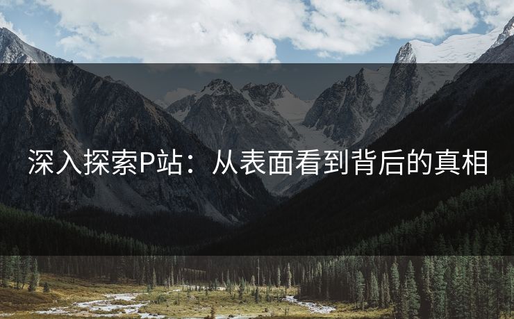 深入探索P站：从表面看到背后的真相